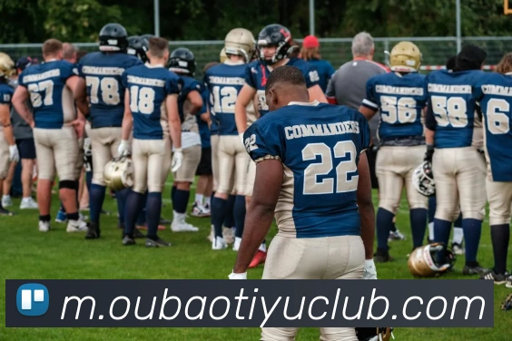 App Interface Preview