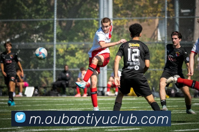 欧宝体育APP 封面图